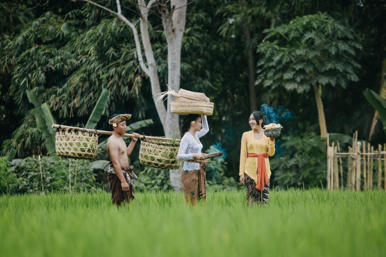 Candy Villa By Pramana Villas Ubud  Luaran gambar