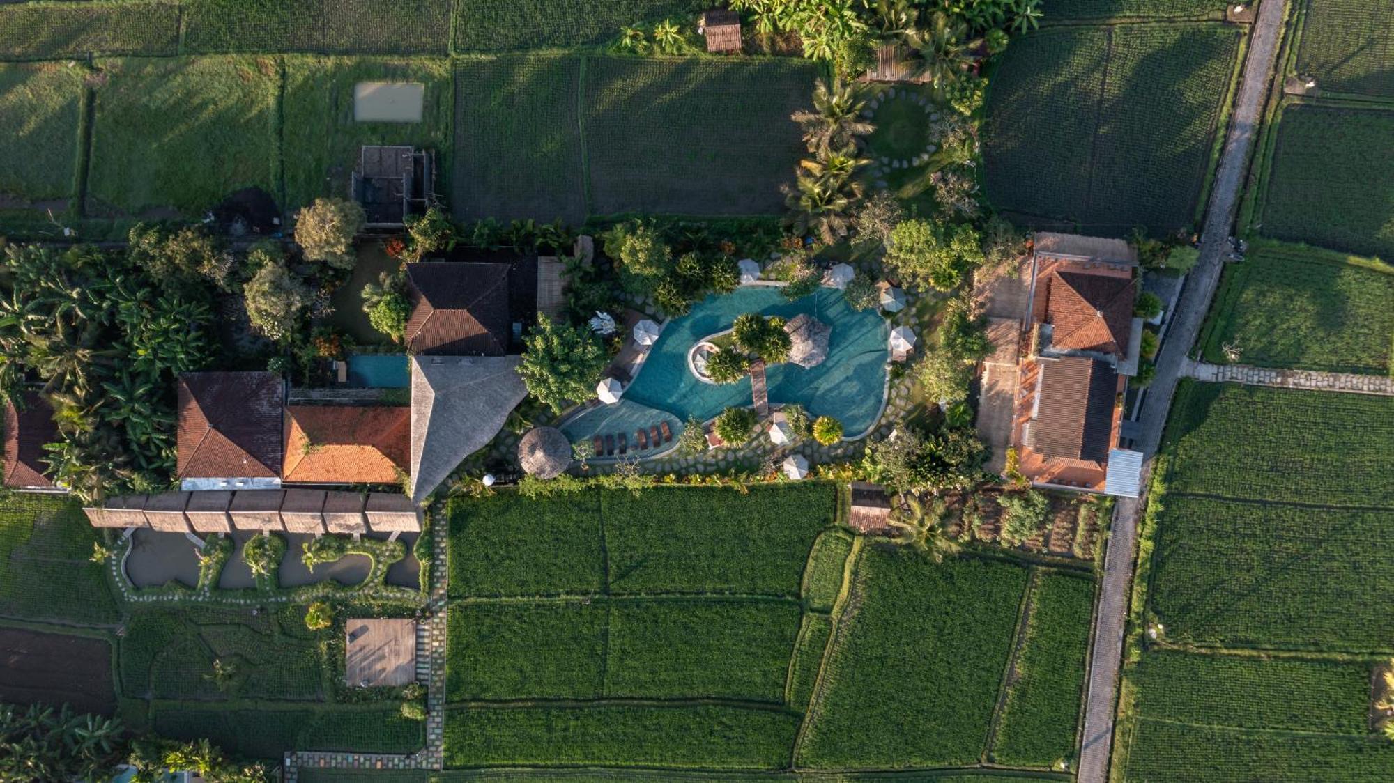 Candy Villa By Pramana Villas Ubud  Luaran gambar